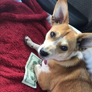 Meet your Posher, Arianna